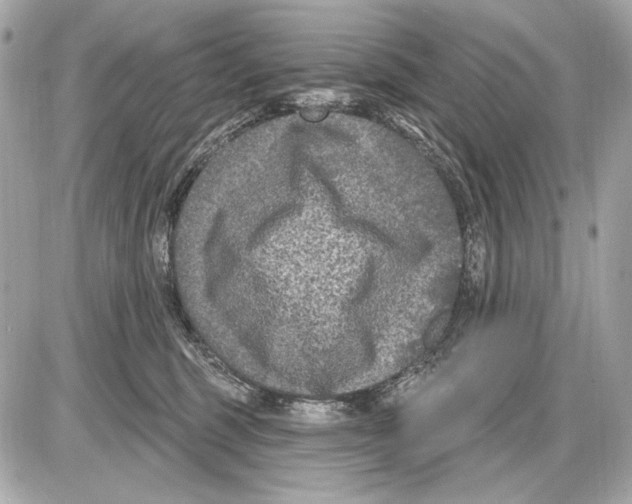 X0000085820375200704091638