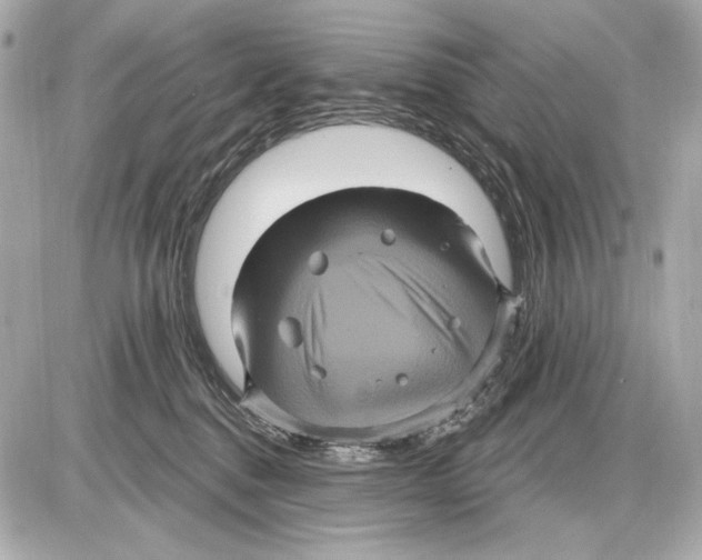 X0000085820376200704091638