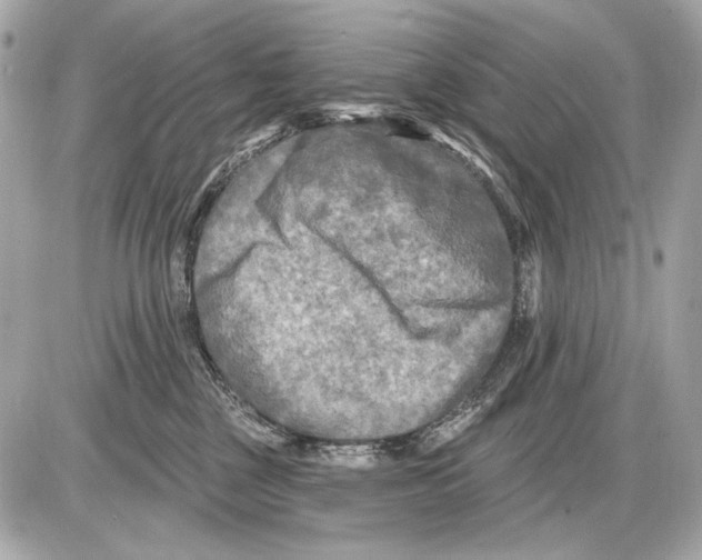 X0000085820377200704091638