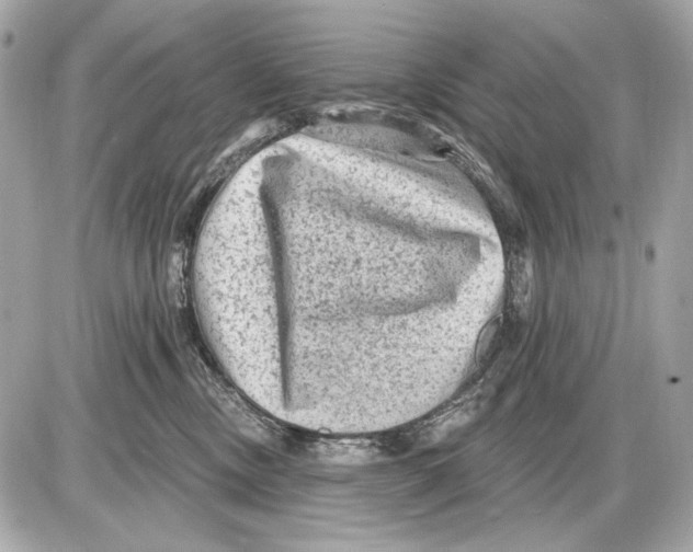 X0000085820378200704091638