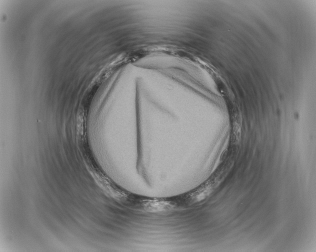 X0000085820379200704091638