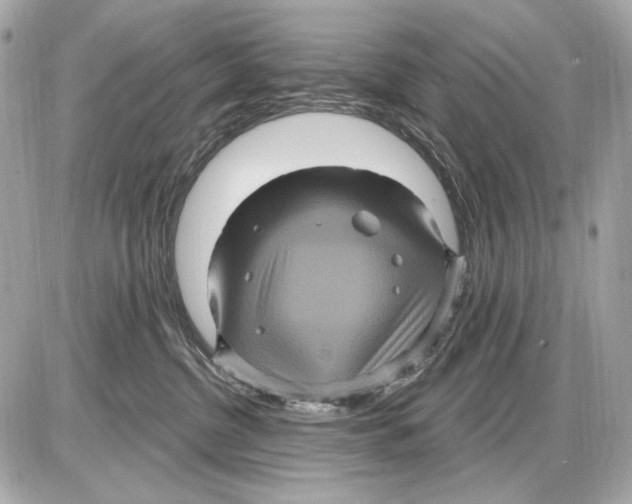 X0000085820380200704091638