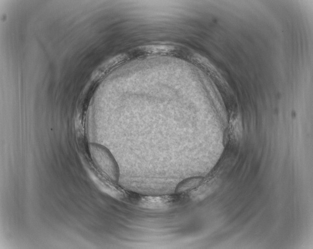 X0000085820381200704091638