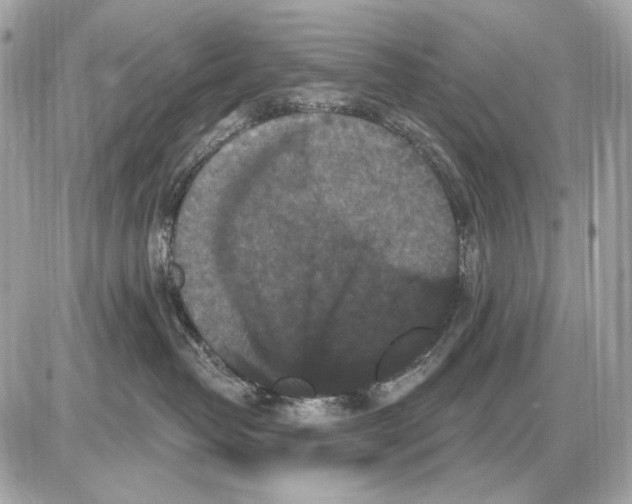 X0000085820382200704091638