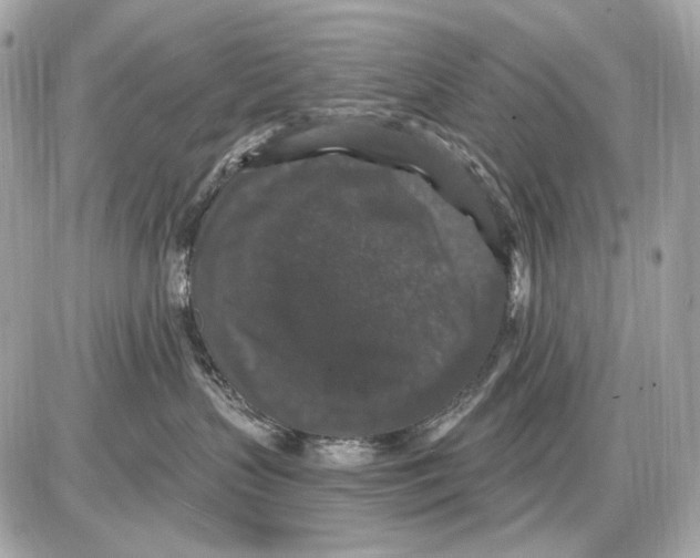 X0000085820383200704091638