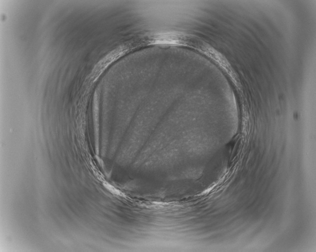 X0000085820385200704091638