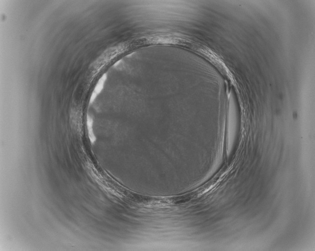 X0000085820386200704091638