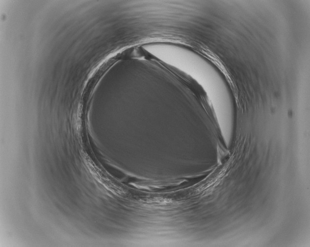 X0000085820387200704091638