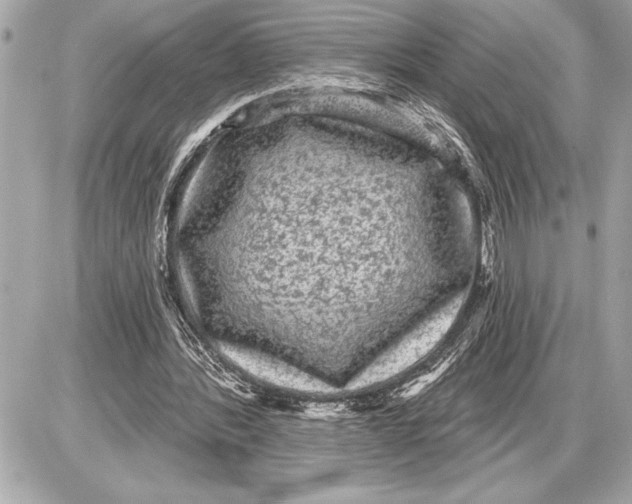 X0000085820388200704091638