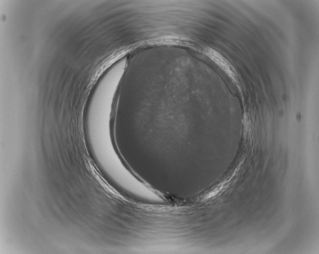 X0000085820389200704091638