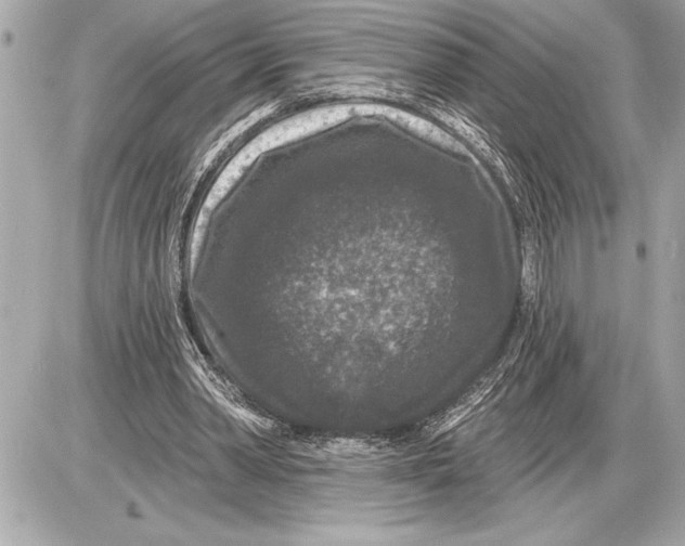 X0000085820390200704091638