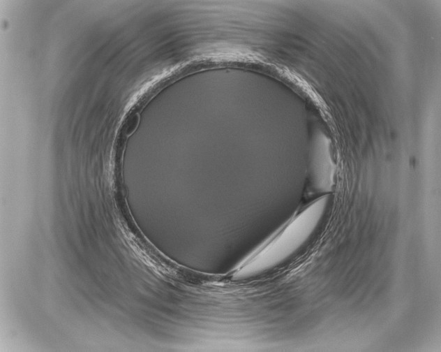 X0000085820391200704091638