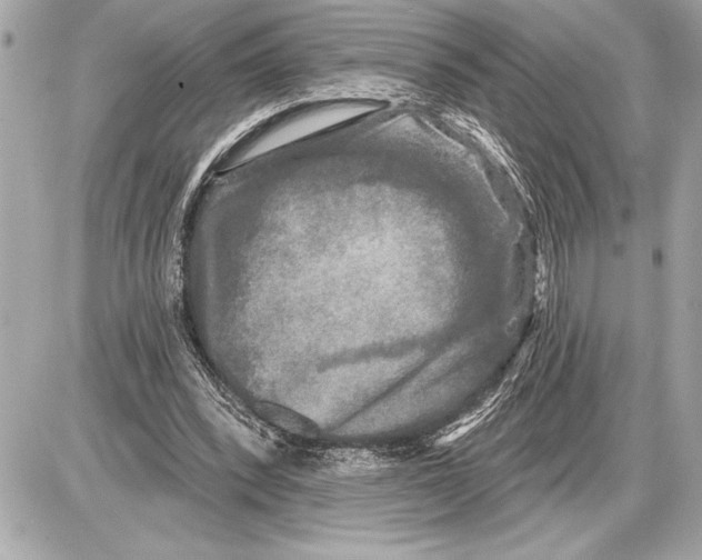 X0000085820392200704091638