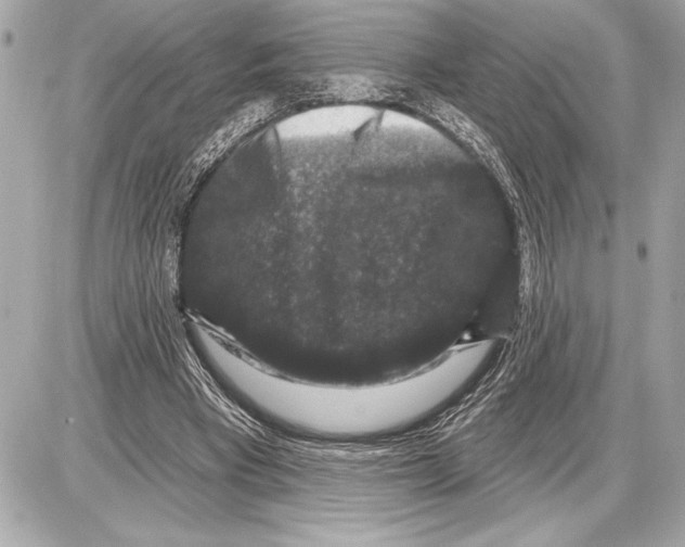 X0000085820393200704091638