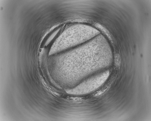 X0000085820395200704091637