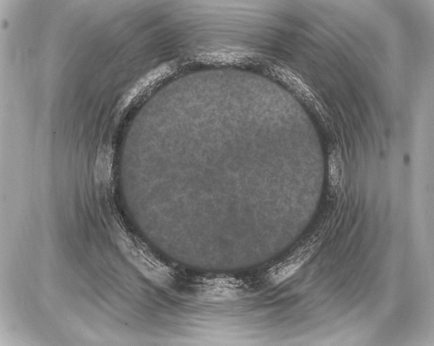 X0000085820396200704091637