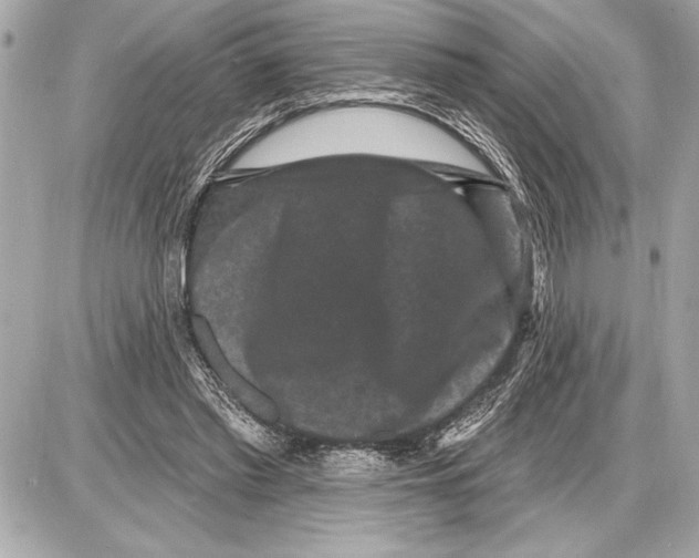 X0000085820397200704091637