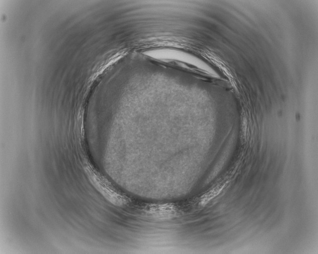 X0000085820398200704091637