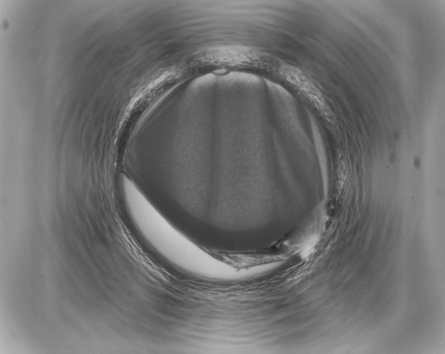 X0000085820399200704091637