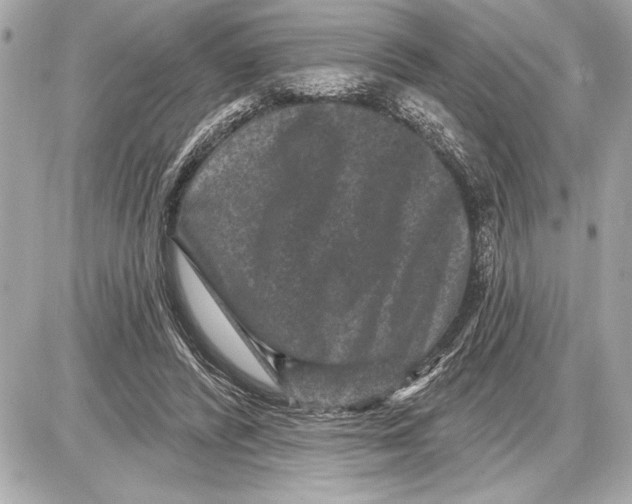 X0000085820400200704091637