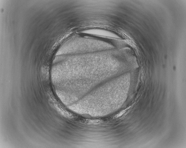 X0000085820401200704091637