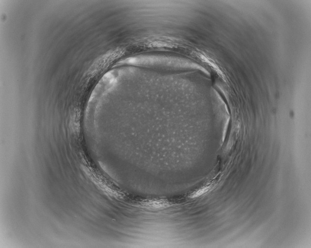 X0000085820402200704091637