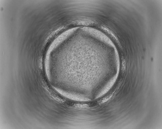 X0000085820403200704091637