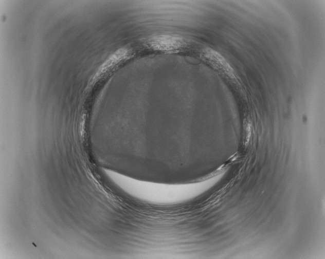 X0000085820404200704091637