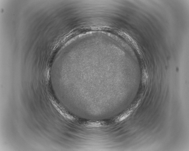 X0000085820405200704091637