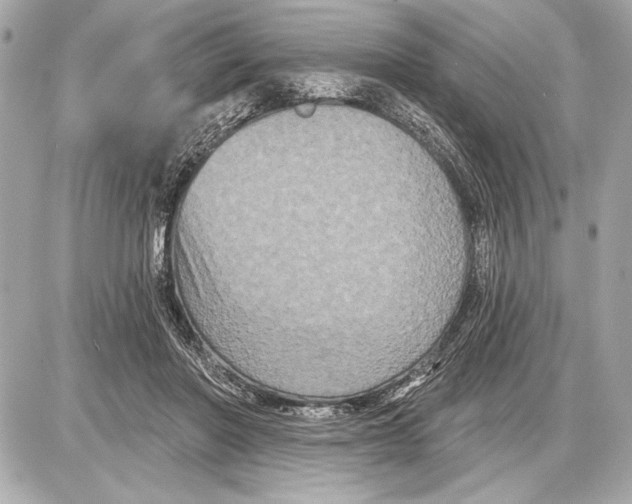 X0000085820406200704091637