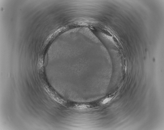 X0000085820407200704091637