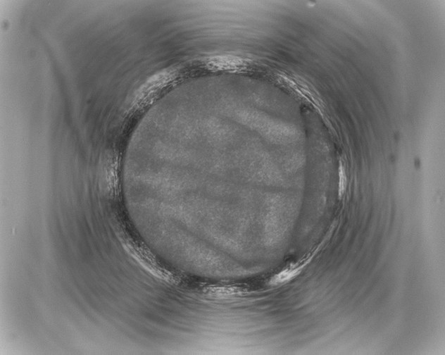 X0000085820408200704091637