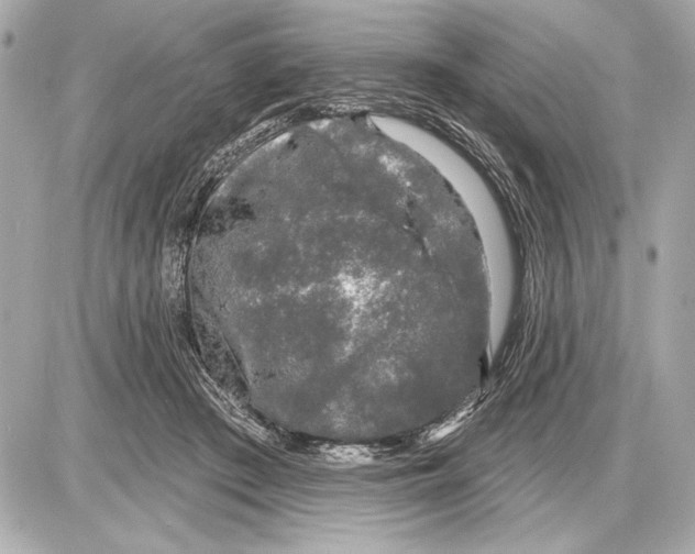 X0000085820409200704091637