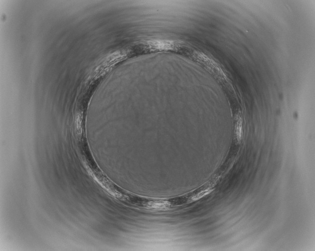 X0000085820410200704091637