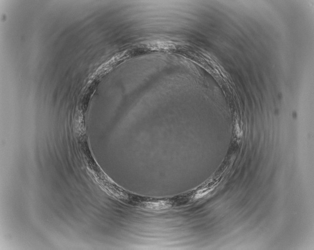 X0000085820411200704091637