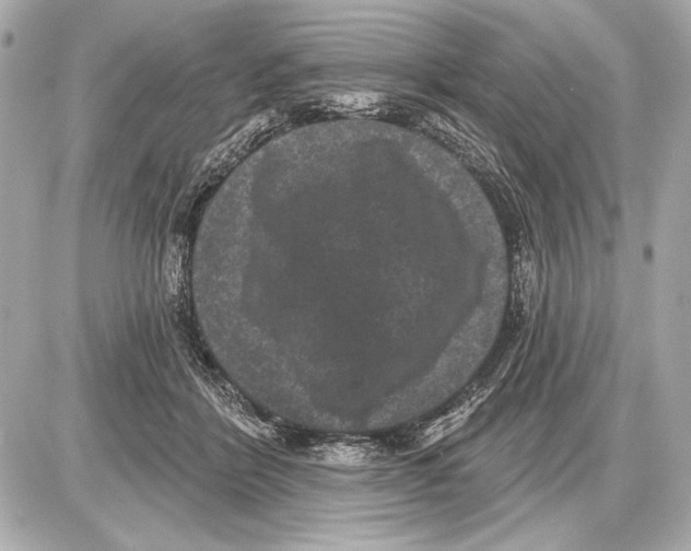 X0000085820412200704091637