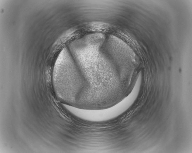 X0000085820413200704091637