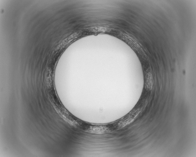 X0000085820414200704091637