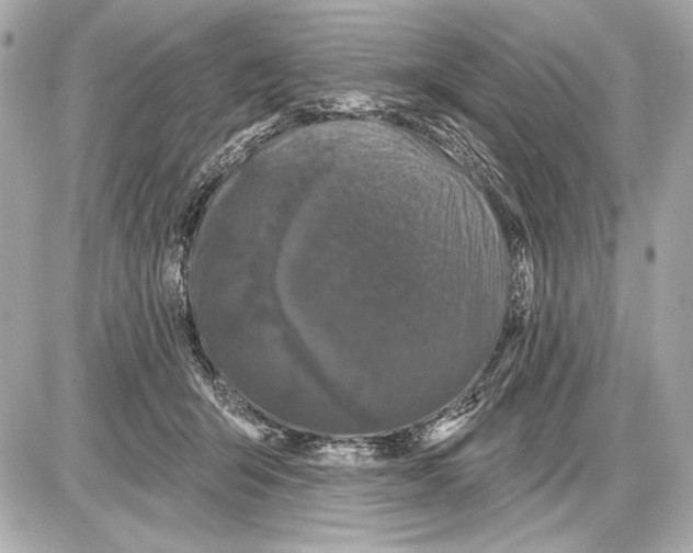 X0000085820415200704091637