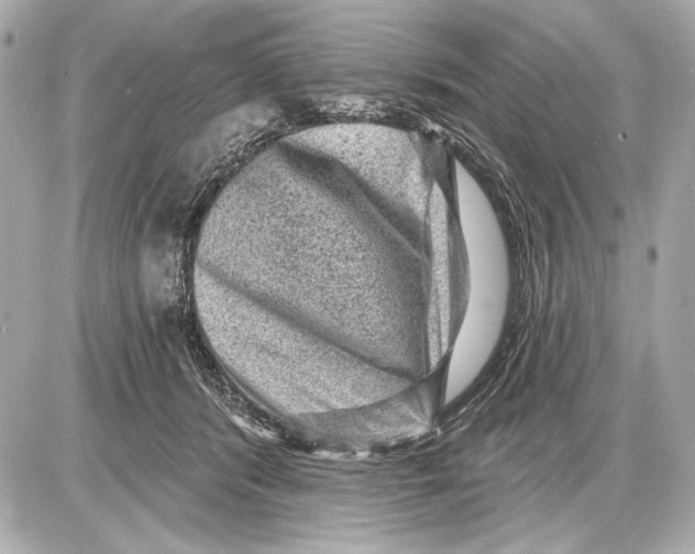 X0000085820416200704091637