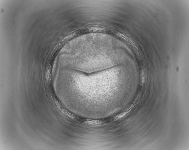 X0000085820417200704091637