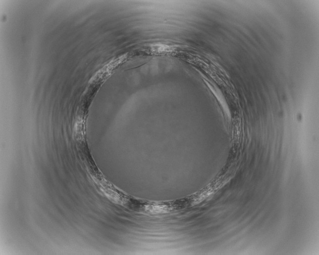 X0000085820419200704091637