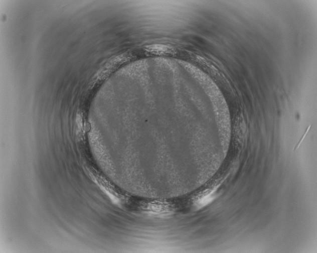 X0000085820420200704091637