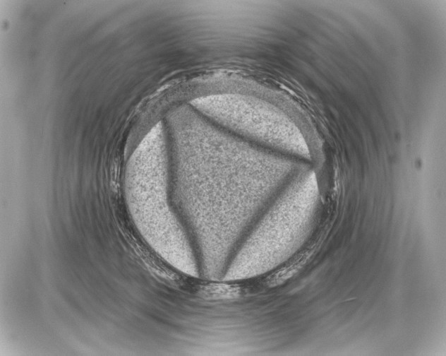 X0000085820421200704091637