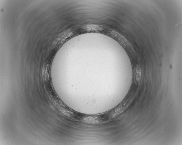 X0000085820422200704091637