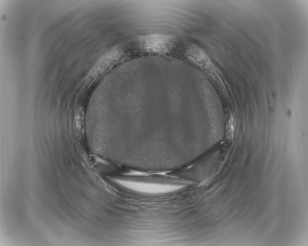 X0000085820424200704091637