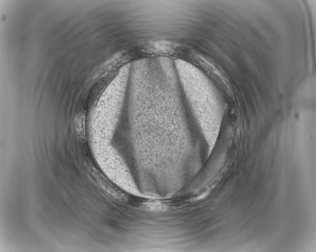 X0000085820425200704091637