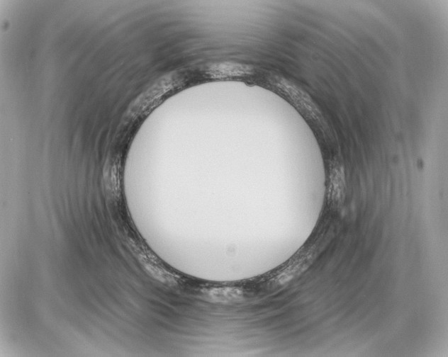 X0000085820426200704091637