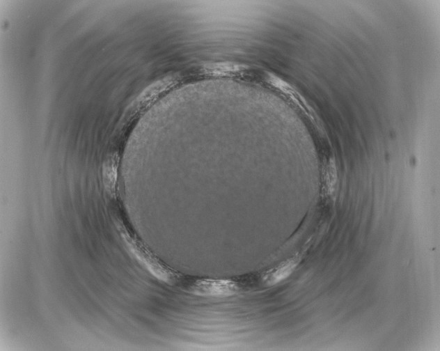 X0000085820427200704091637