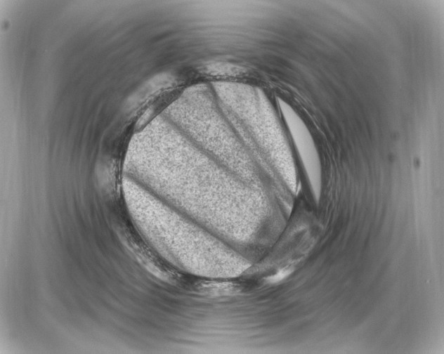 X0000085820428200704091637